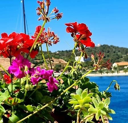 Bed & Breakfast Dionis Vis Buitenkant foto