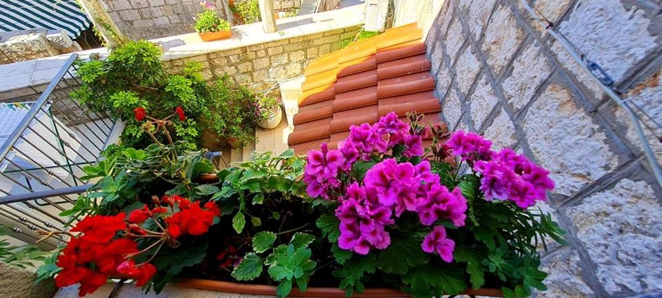 Bed & Breakfast Dionis Vis Buitenkant foto