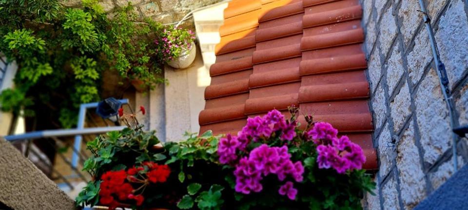 Bed & Breakfast Dionis Vis Buitenkant foto