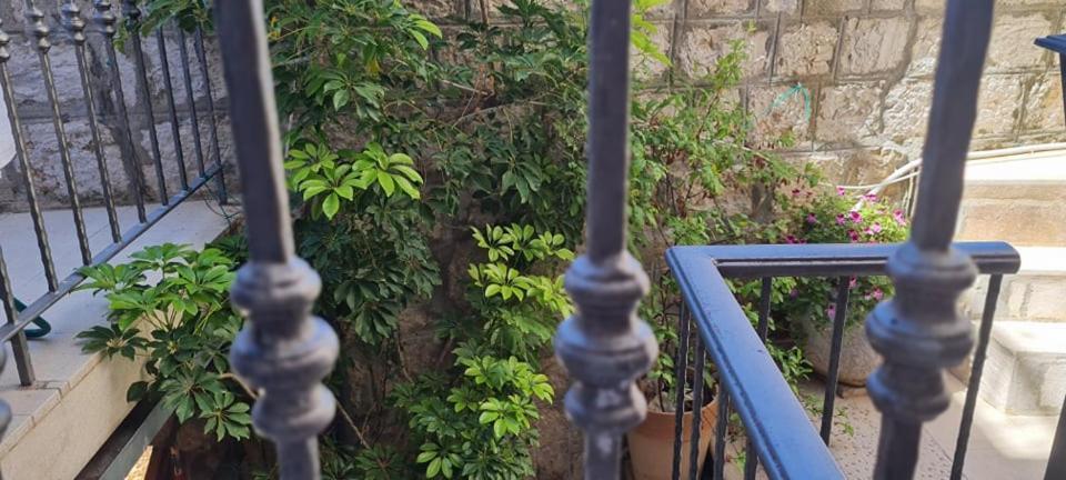 Bed & Breakfast Dionis Vis Buitenkant foto